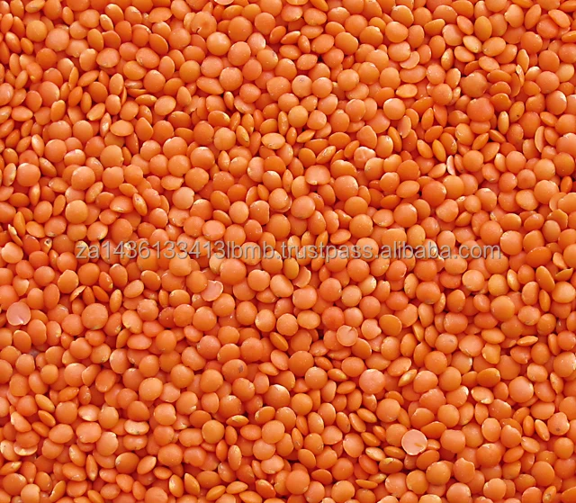 lentils 1.jpg