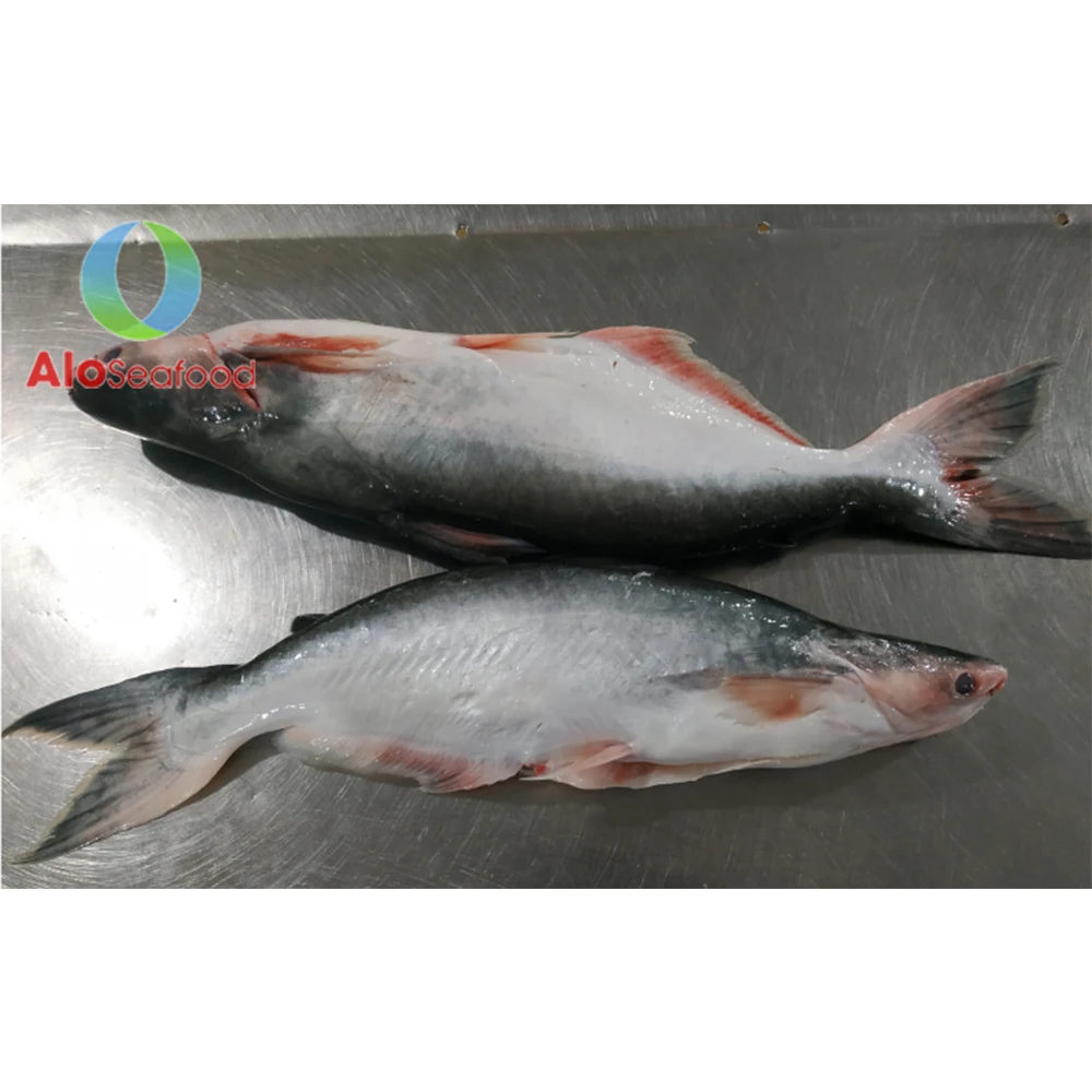 Hot selling cheap price with high quality Frozen Fish Pangasius Skin from Vietnam seafood company