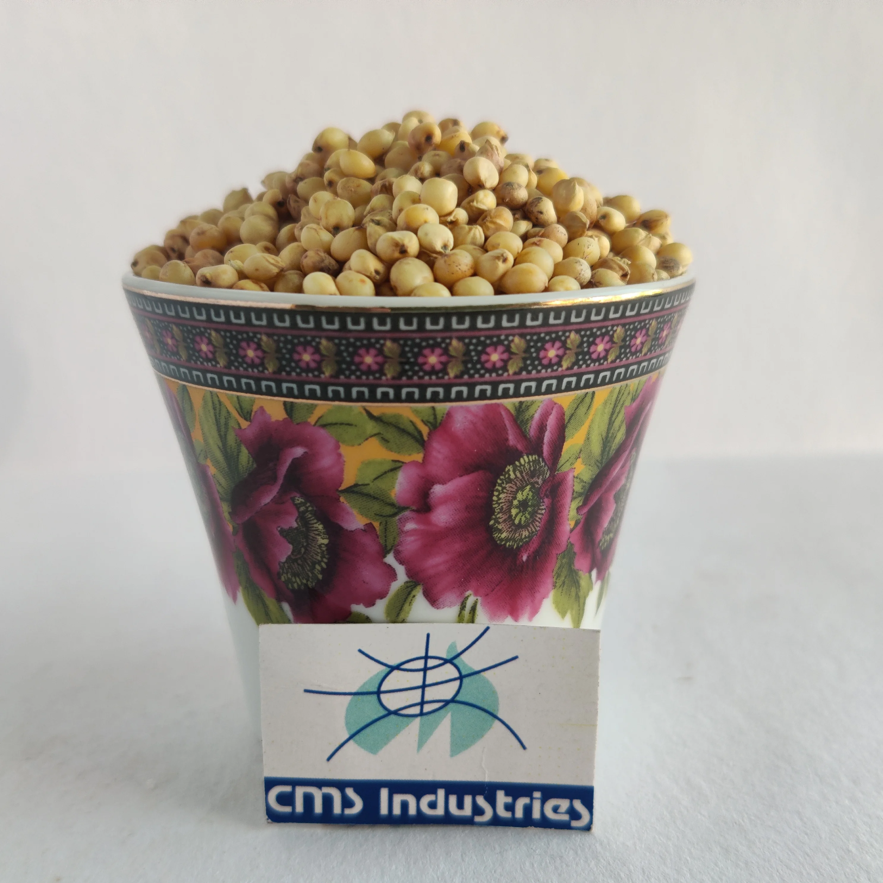creamy white sorghum product of india for bird - buy sorghum