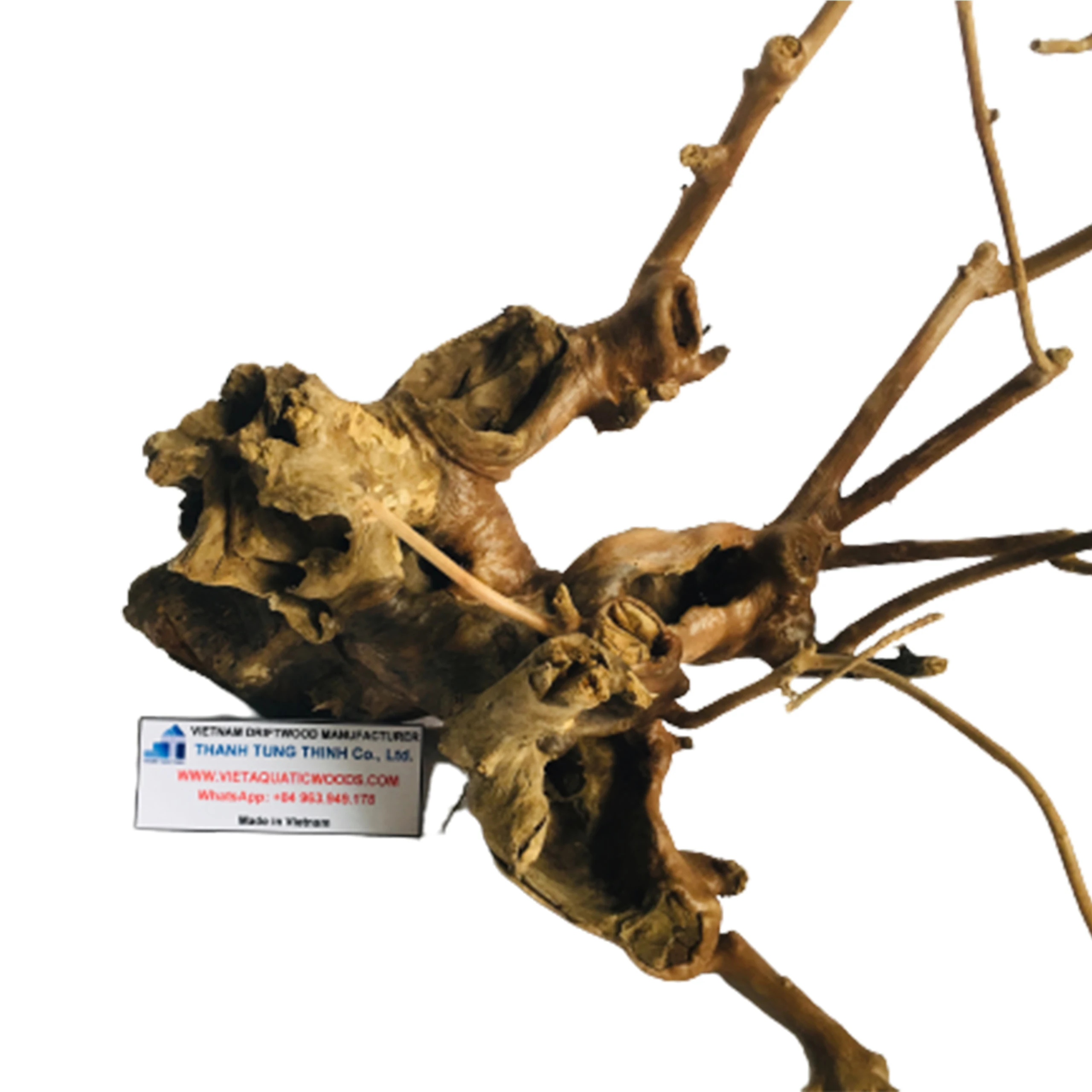 Оптовая продажа 2025 натуральных аквариумных коряг для аквариумных аксессуаров WhatsApp: + 84 963 949 178