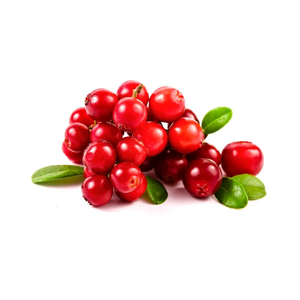 iqf frozen lingonberry in bulk from manufacturer,product of russ