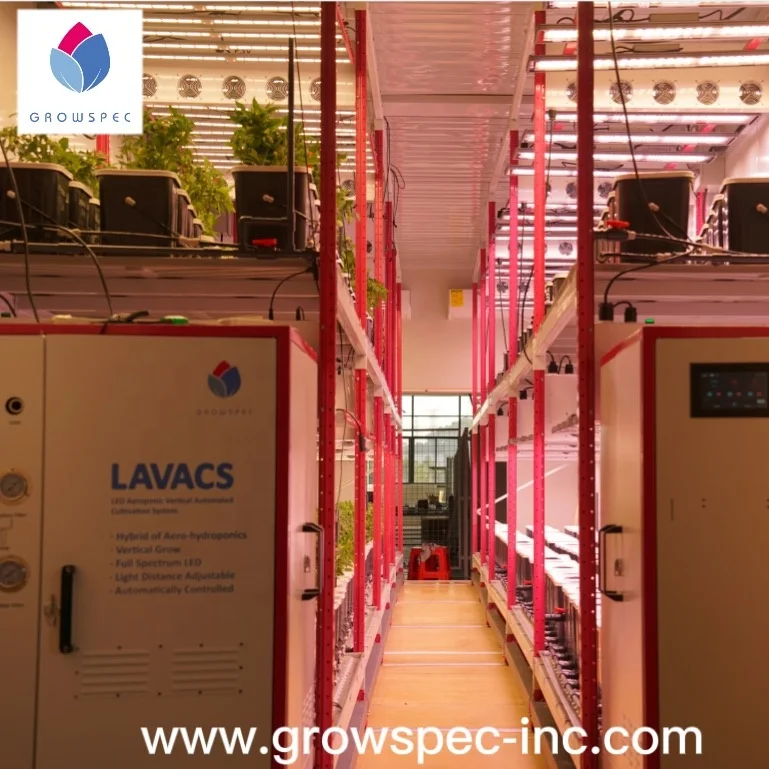 Growing Container Cherry Tomatoes in Container Farm  Cheap Containers to Grow Vegetables Winter Vertical Grow System
