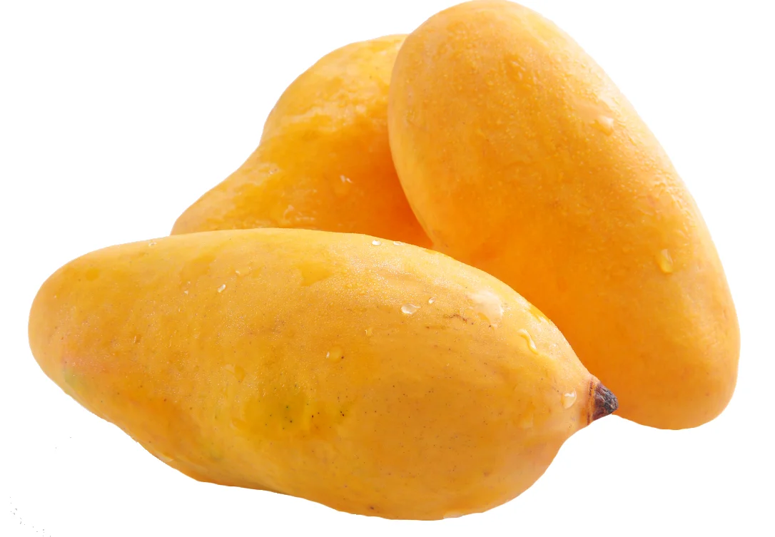 <b>Mango</b> turkiye.