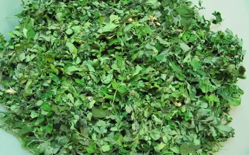 Moringa Air Dried Leaves