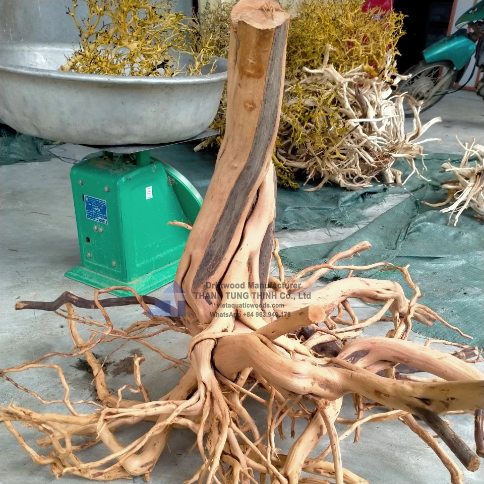 Highquality Natural Wood Aquarium Driftwood For Aquarium Accessories