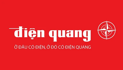 Company Overview - DIEN QUANG LAMP JOINT STOCK COMPANY