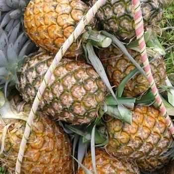 Fresh Fruit MD2 Organic PINEAPPLE Export Fresh Pineapple/Pineapple/Fresh Fruits