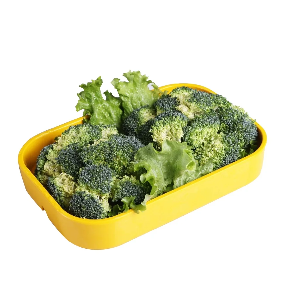Broccoli Fresh iib ah qiimaha ugu fiican iyo tayada, salaar barafka diyaar u ah in la dhoofiyo