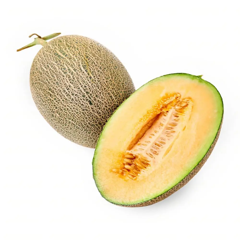 cantaloupe for sale,ready to export from germany,melon fruit