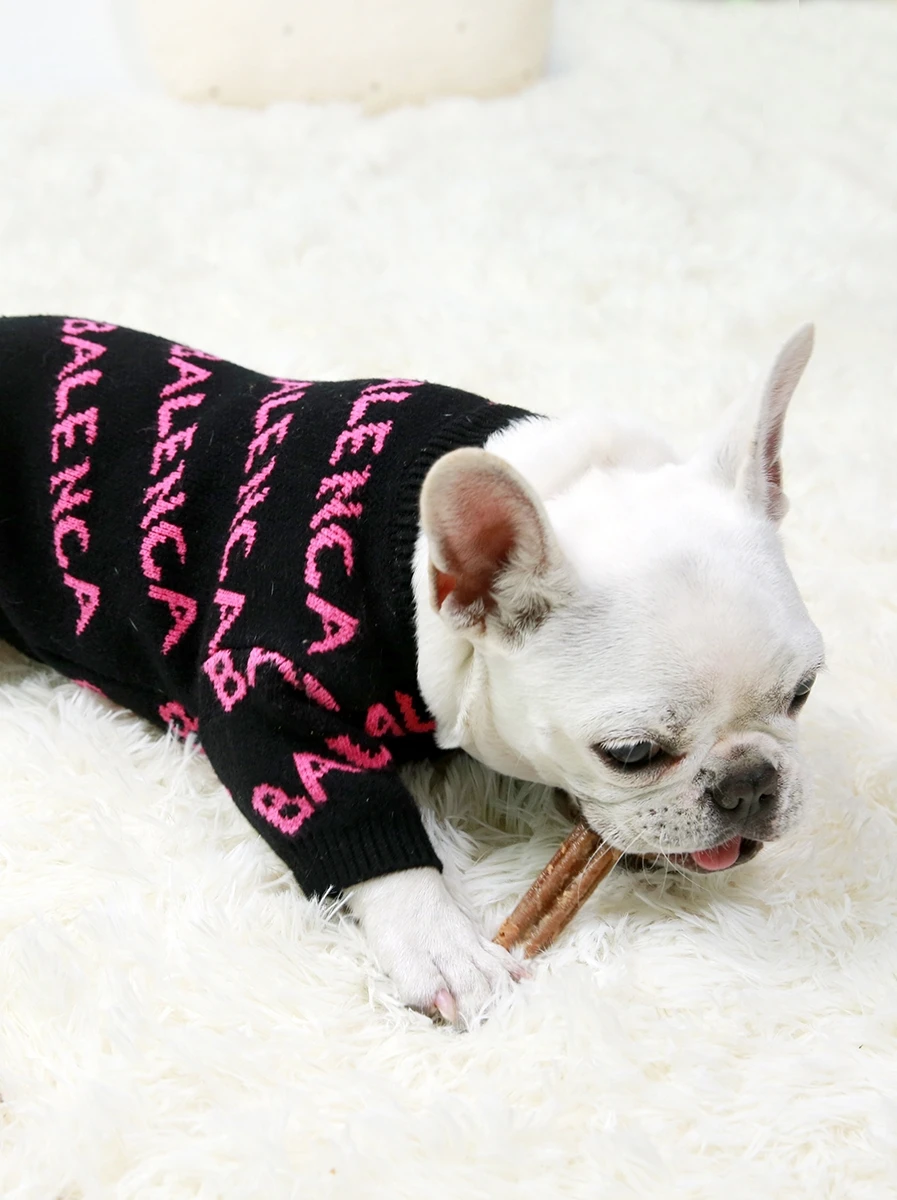 Dreamzoo Designer Custom Wholesale Pet Trendy Sweater Luxury Pet Dog