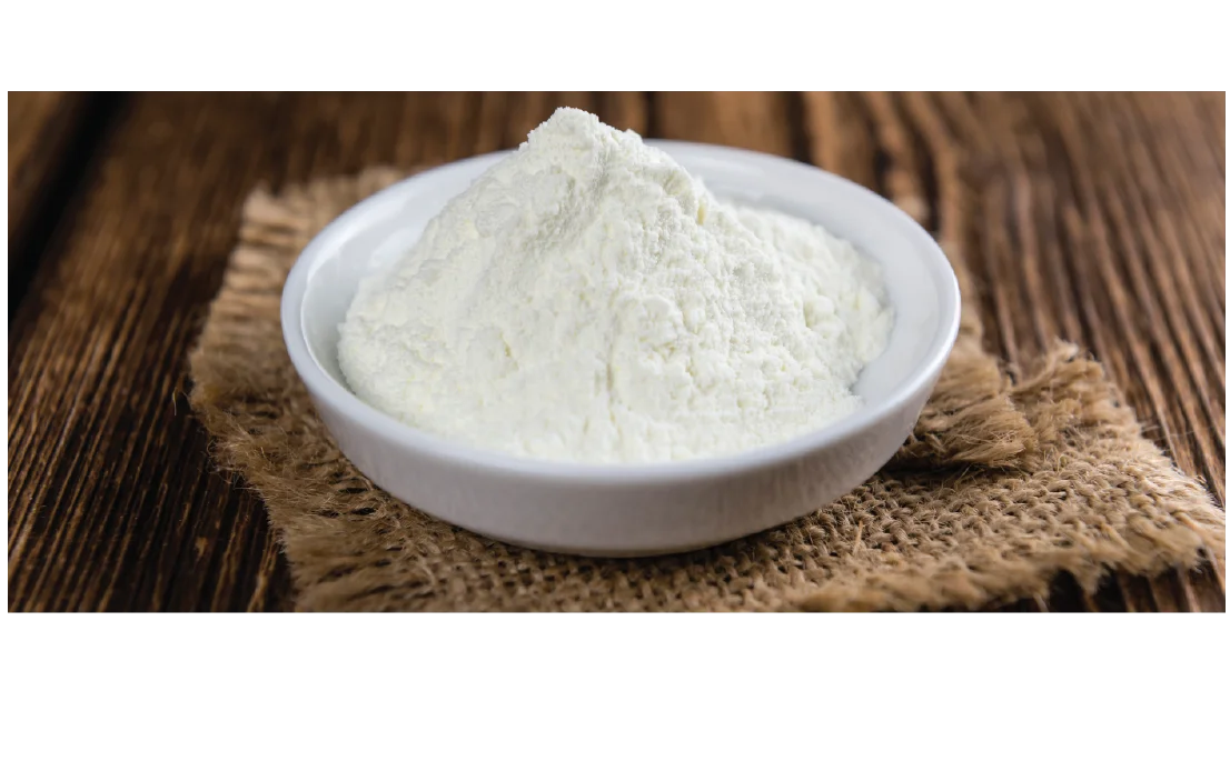 Top Quality 2023 Coconut Milk Powder With High Quality And