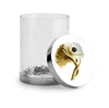 Silver & Gold