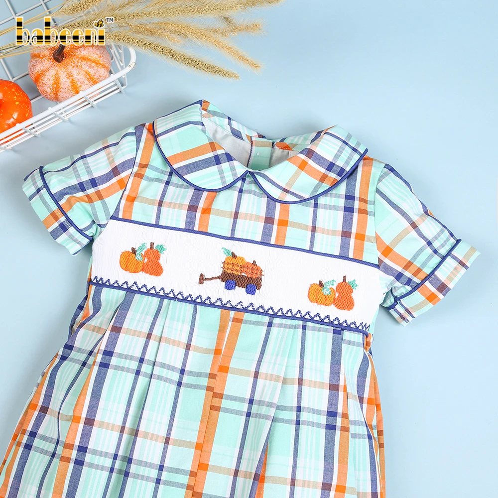 Anavini Boys Light Blue Gingham Longall - Smocked Pumpkin Trucks main image 0