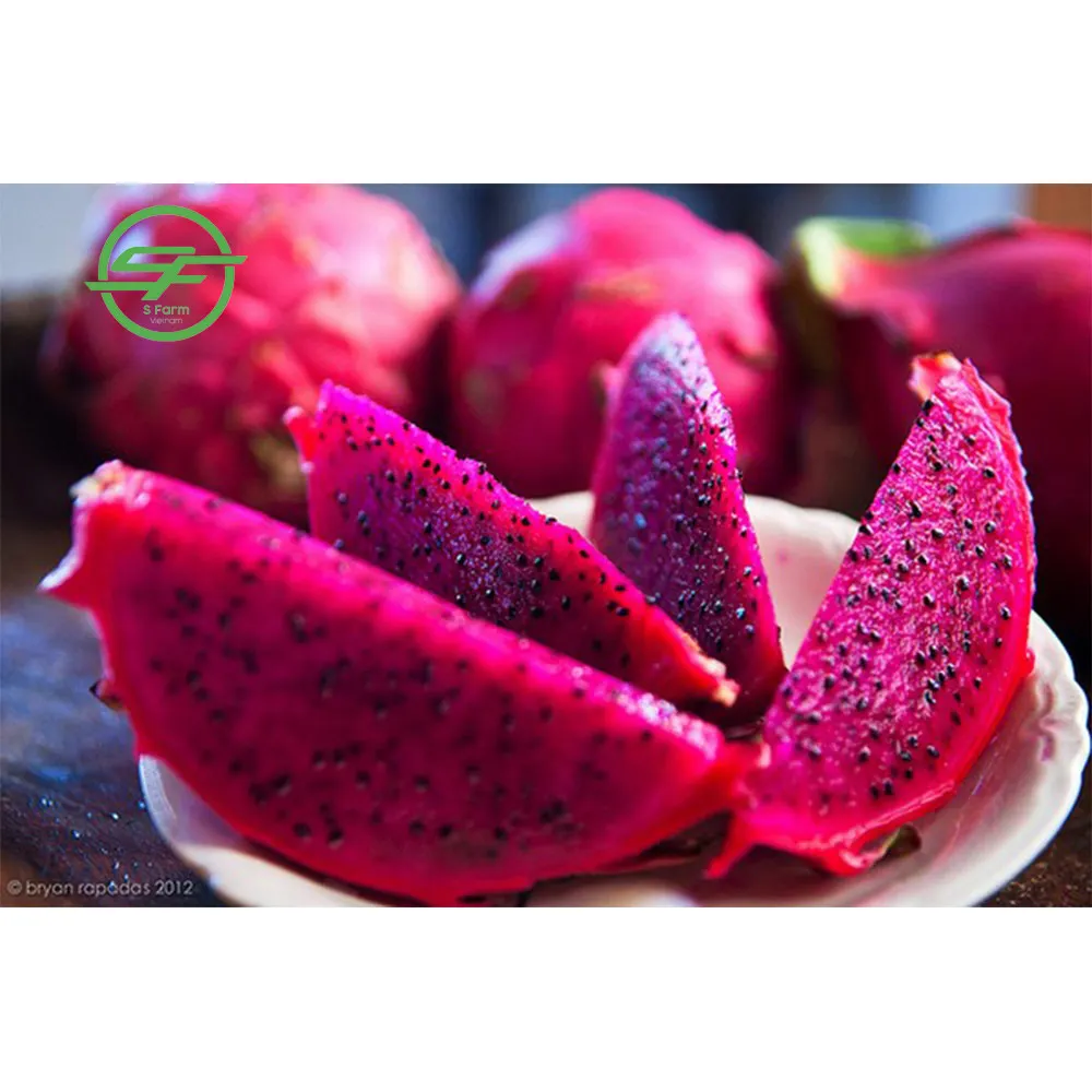 provider of the best fresh red dragon fruit (whatsapp/zalo/we