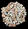 Rosa, Vendido por peso (gramos), 18 a 20 piezas por 100 g