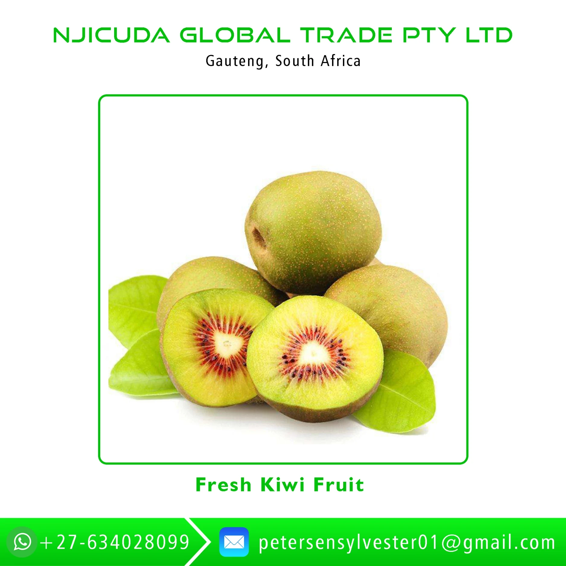 top grade organic fresh kiwi fruit - buy fresh kiwi fruit from