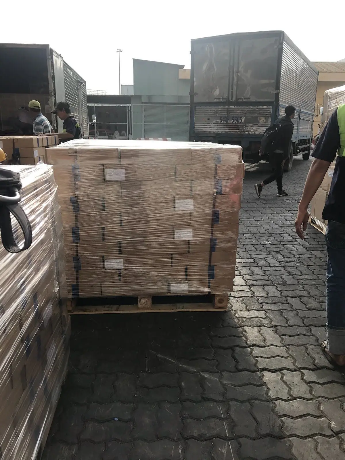 Материал игральных костей алоэ вера в консервах лучший продукт из Вьетнама данные о золота