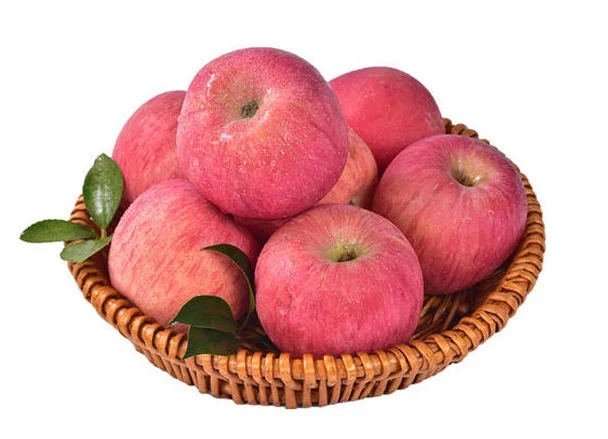 plain.jpg