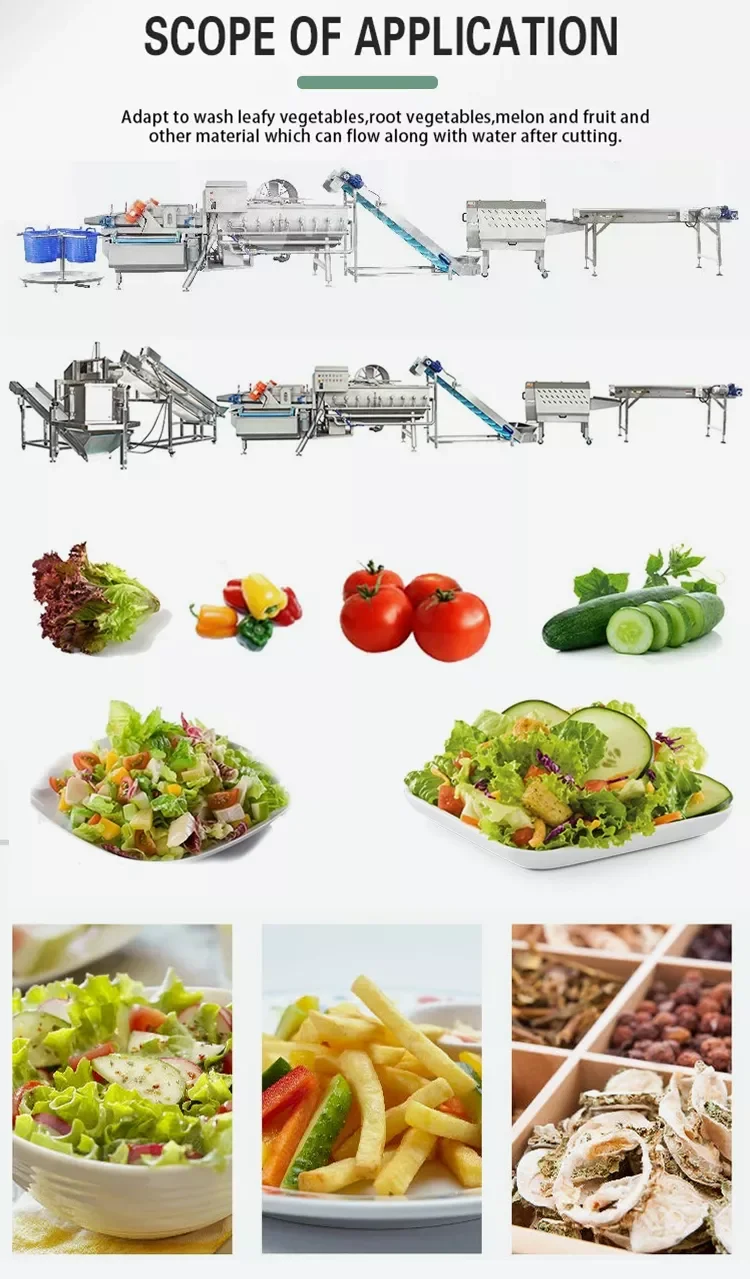 Broccoli Green Leaf Cabbage Potato Carrot Lettuce Pre Cut Vegetable Salad Processing Line details