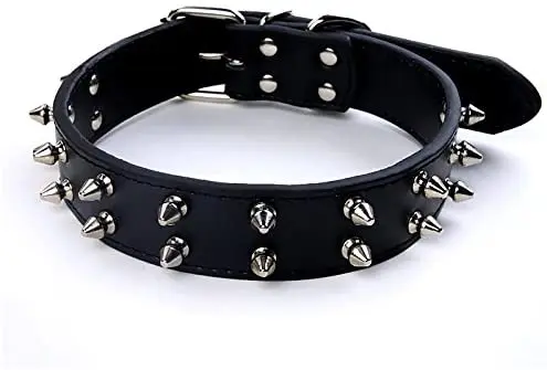 Black Dog collar