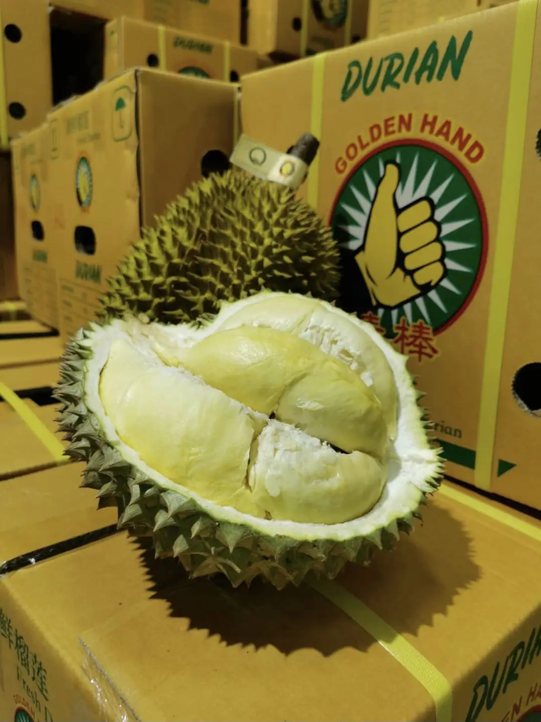 Fresh Durian Monthong Durian For Sale At affordable prices