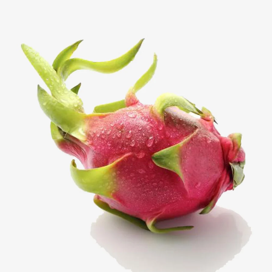 wholesale for vietnam fresh dragon fruit - sweet dragon fruit at