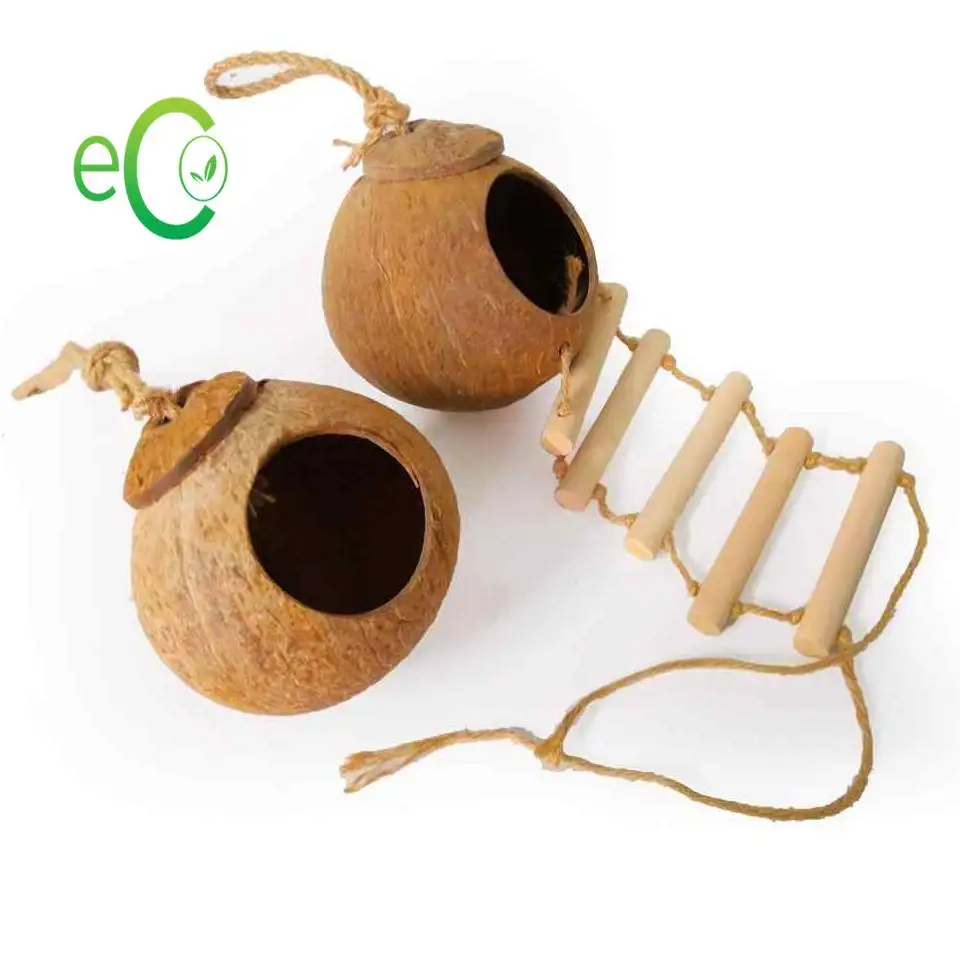 Лидер продаж 2021! Натуральное кокосовое Птичье гнездо ручной работы/домик для птиц из скорлупы кокоса/домик для птиц из кокоса с подвесной лестницей