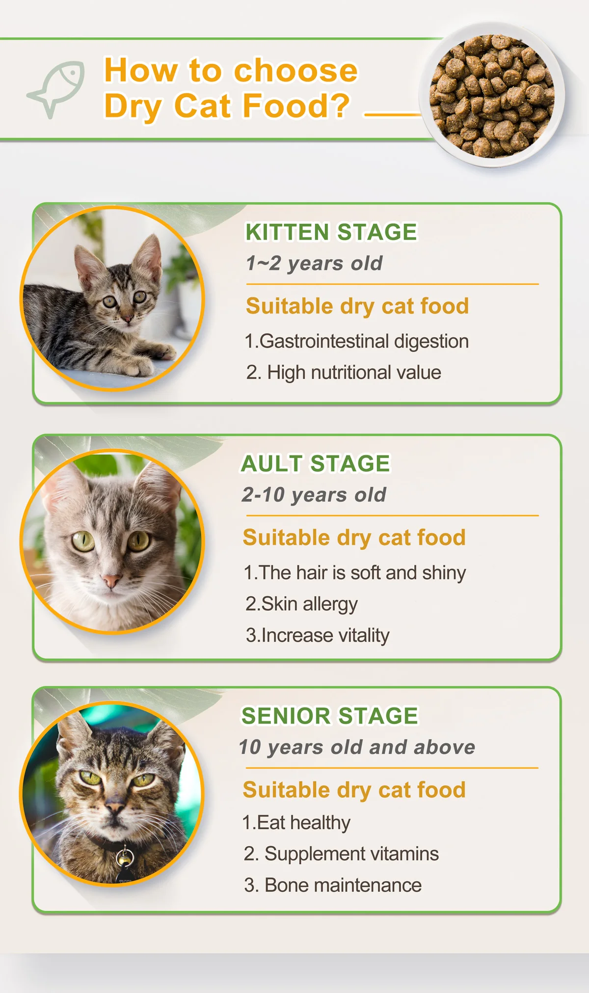 Highquality Nutrition Formula Dry Pet Food For Cat Buy Wholesale Pet