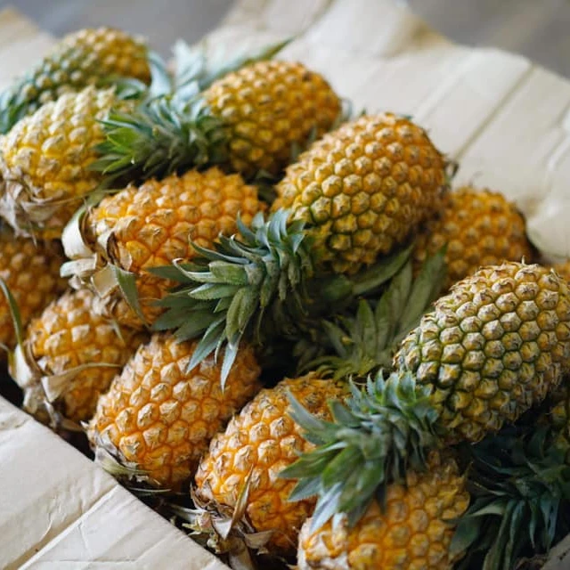 natural fresh juicy pineapple with high quality low price from