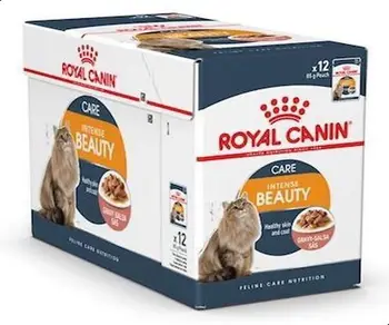Premium Dog Food Wellness Core Dog Food High Standard Royal Canin Dog Food