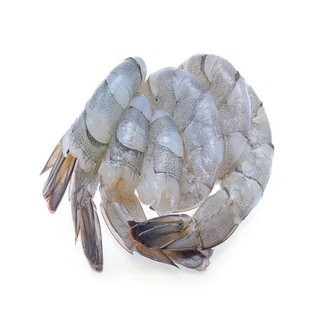 Very Cheap Frozen Raw Red Shrimp With Best Grade Peeled Prawn 84 896674503