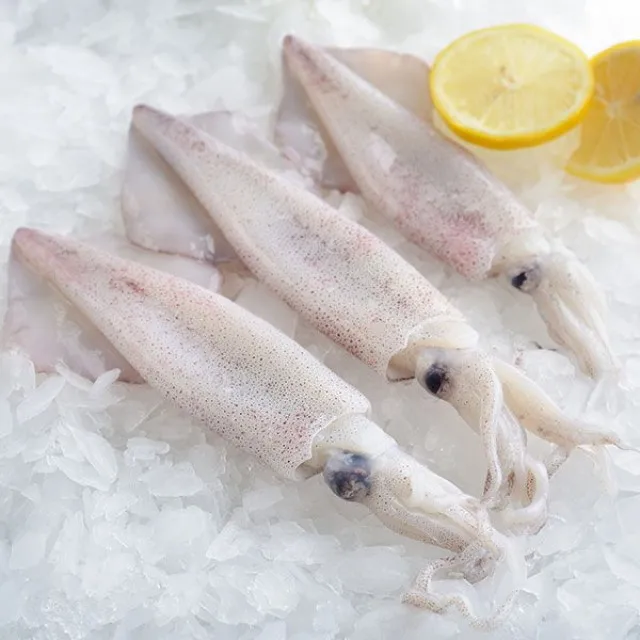 Wholesale Mican Food Halal Certification Export Seafood Frozen Squid Ring From Malaysia Buy Frozen Giant Squid Frozen Squid Ring Frozen Squid Price Product On Alibaba Com