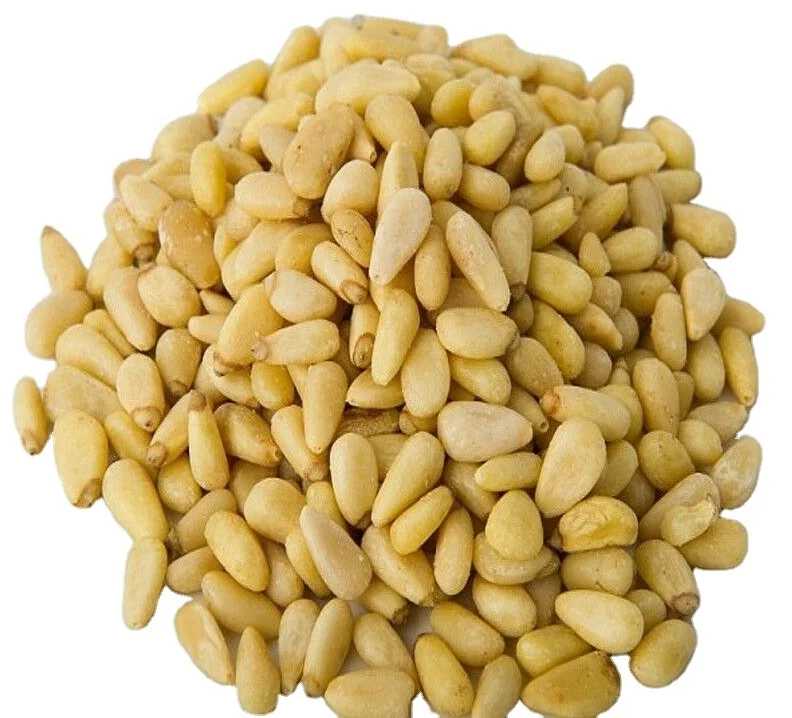 premium quality raw pine nut kernels in shell and without shell