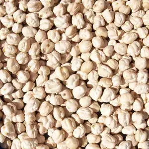 Brown Garbanzo Beans Kabuli Chick Peas 12mm Green Chickpeas
