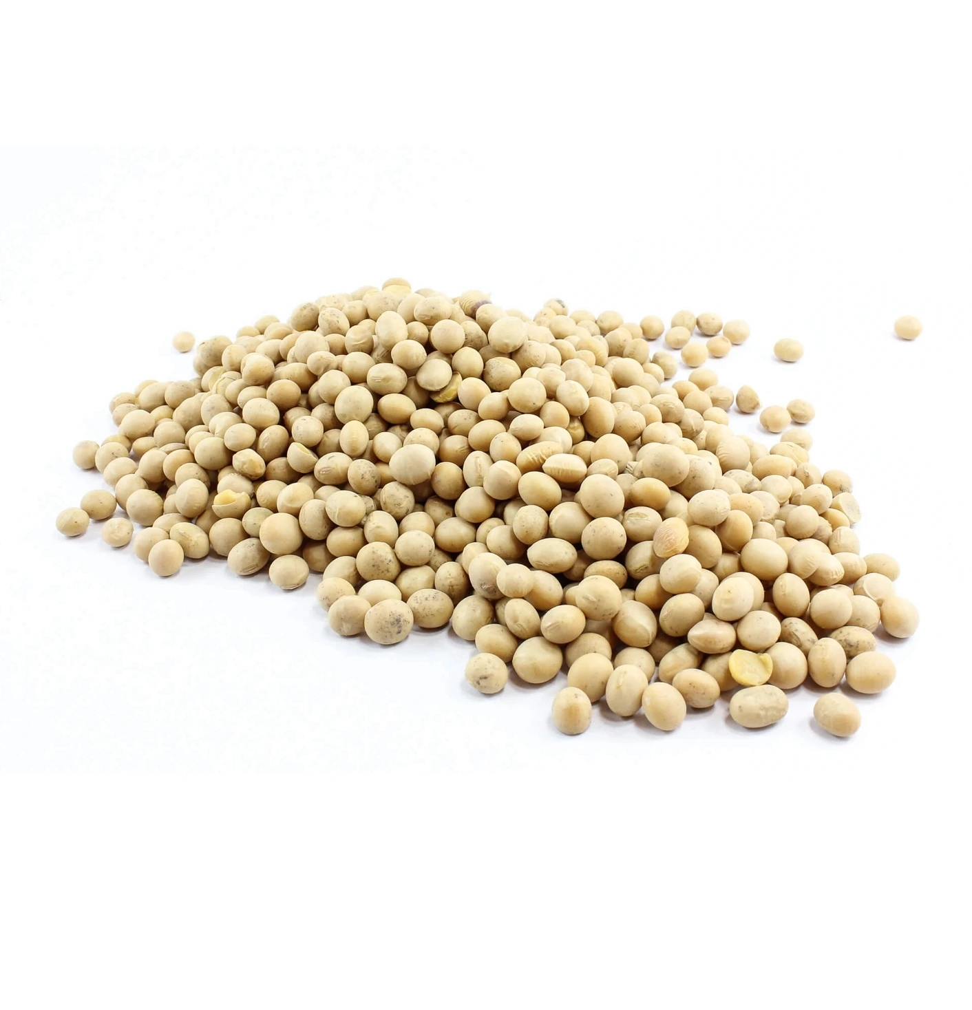 A - Soybeans 25.jpeg