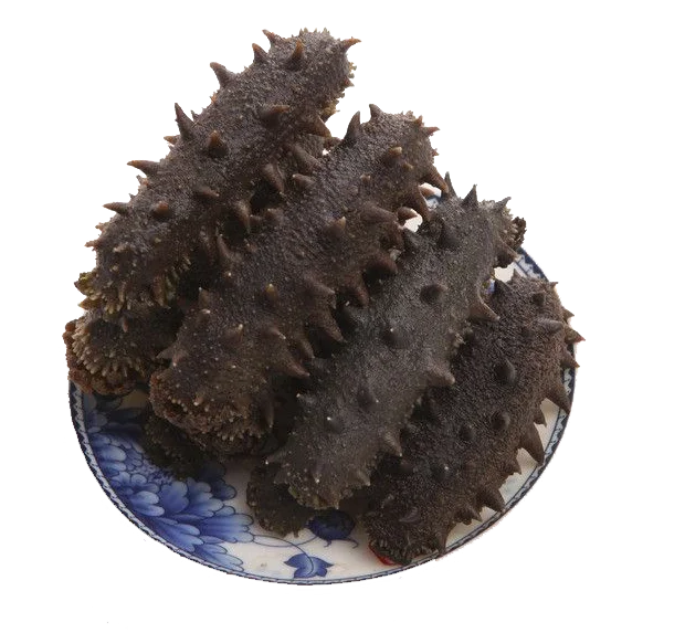 Wholesale Buyer Sugar Free Low Fat Black Spiky Dry Sea Cucumber Buy Best Quality Dried Sea Cucumber High Quality Buy Cheap Black Sea Cucumber At Wholesale Black Sea Cucumber Product On Alibaba Com