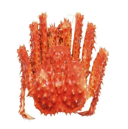 King Crab 5.jpg