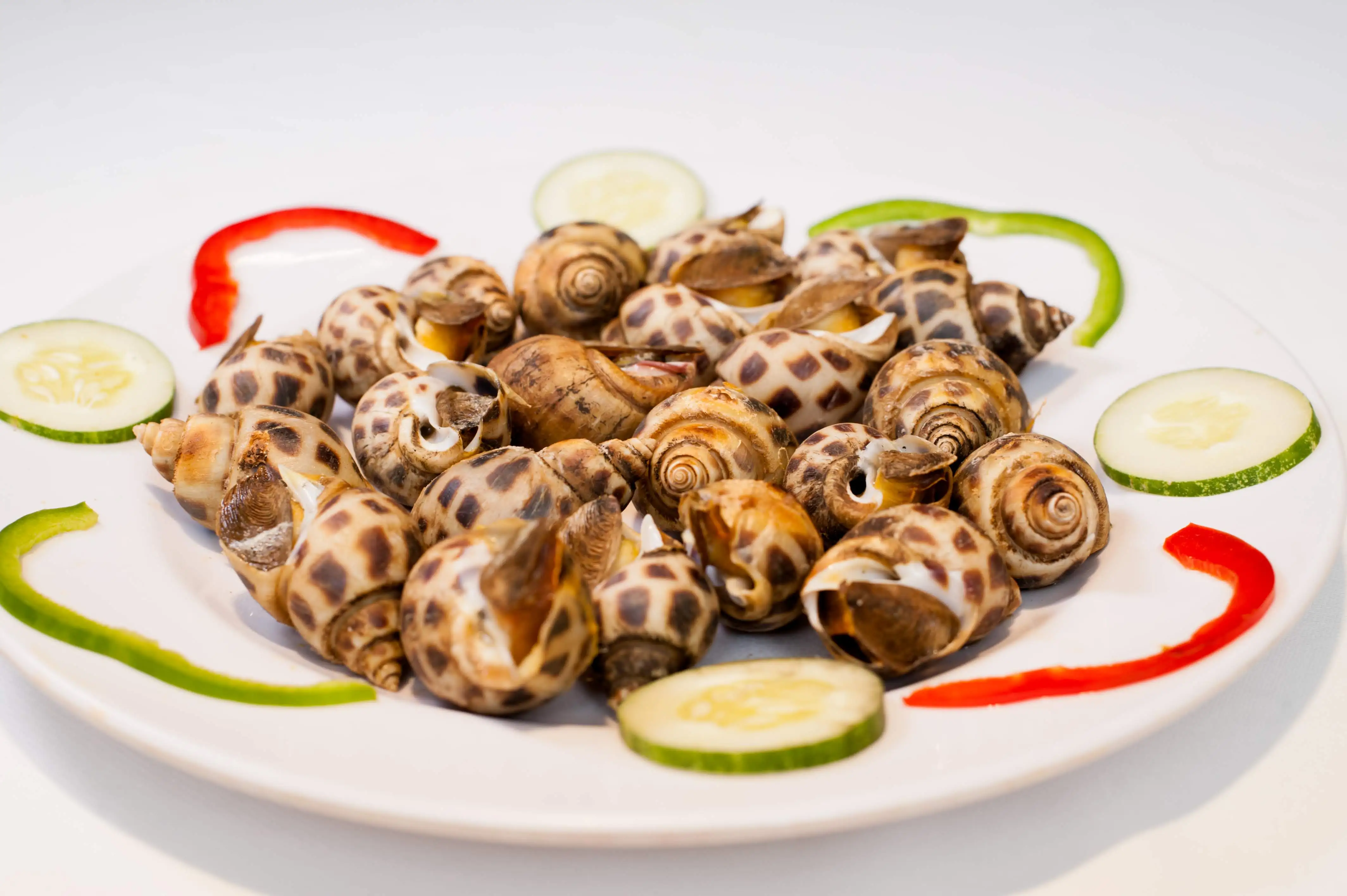 Frozen Sweet Snails/ Fresh Snail With Best Quality From Vietdelta