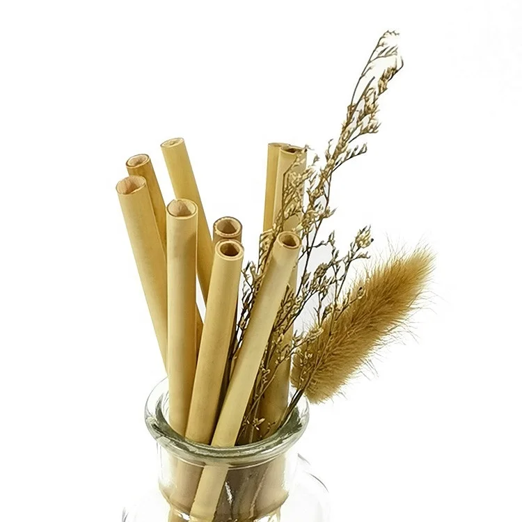 Discover The Beauty Of Vietnam Through Friendship With Bamboo Drinking