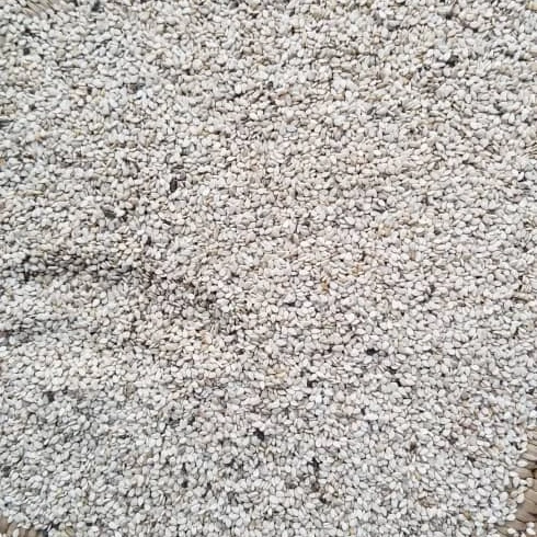 Ethiopian Origin White Wollega Sesame Seeds