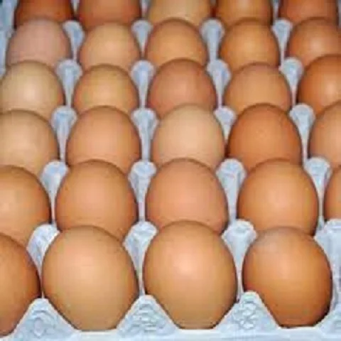 
Fertilized Chicken Eggs/ Cobb 500 Broiler Chicken Eggs/Fresh Cobb Fertile eggs 