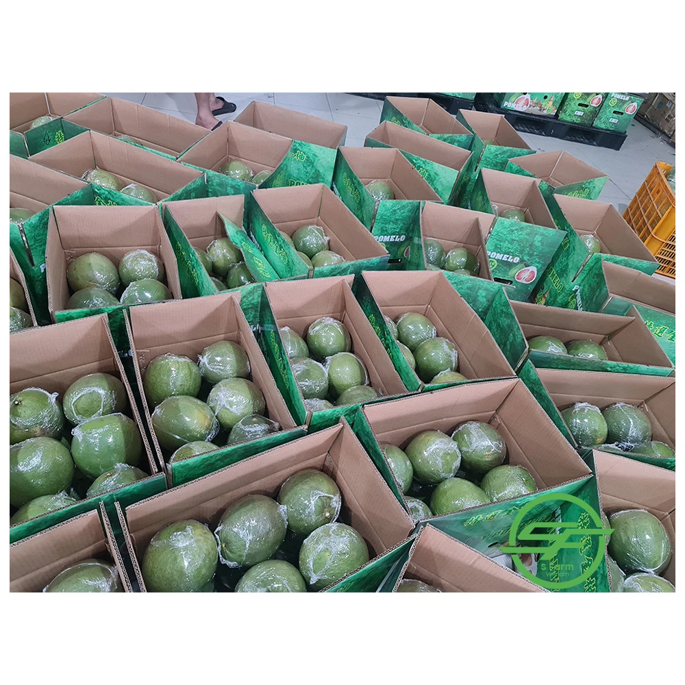 New Crop Top Quality Fruit Fresh Pomelo Buy Fresh Honey Pomelo,Pomelo