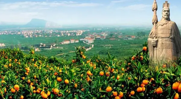 Базовая поставка органических фруктов оранжевого цвета