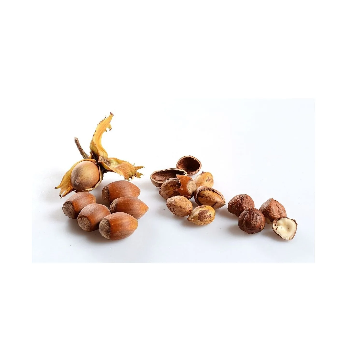 Сырые орехи макадамии, большие органические сушеные орехи макадамии ручной очистки