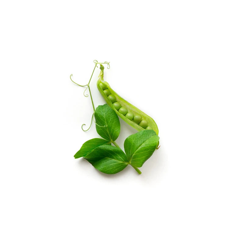 natural fresh peas,wholesale price - buy white peas,frozen peas