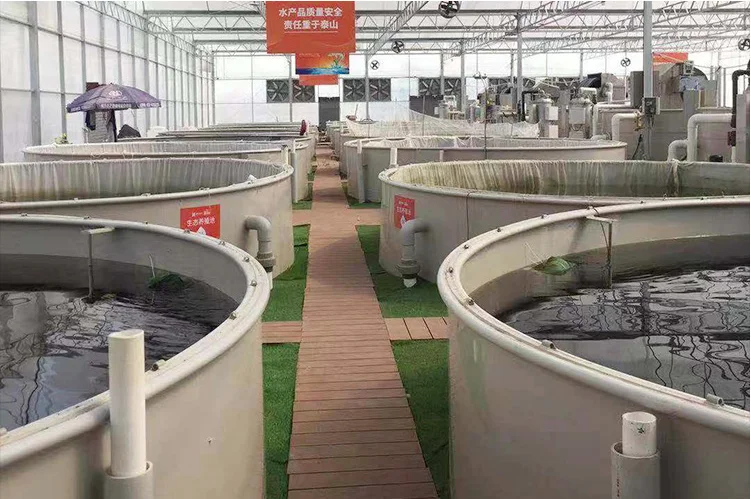 NATIN Aquaculture Ras 20T Drum Filter for Fish Farm/Pond/Hatchery Koi ...