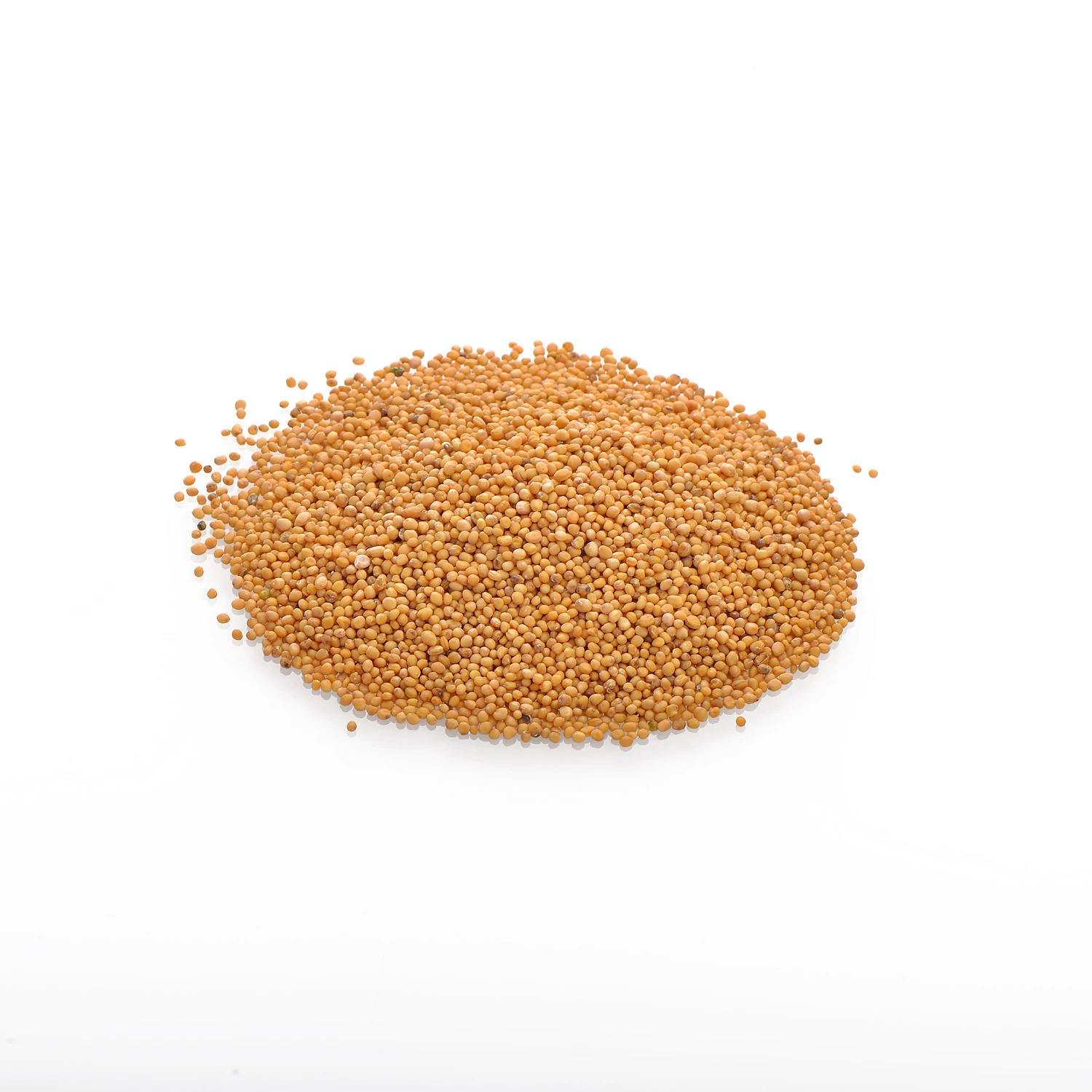 Great Price Quality Black Mustard Seed For Sale Buy Mustard Seeds
