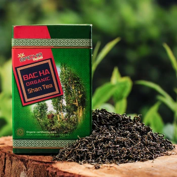 Shan Tea High Quality 100% Natural Organic Herbal Tea Good Health Care Good Price Hot Sell Product