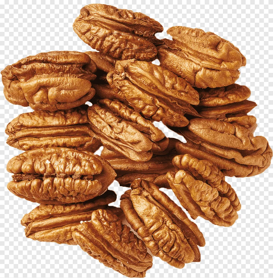 top grade pecan nuts high quality pecans