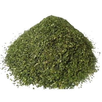 Pure and Natural Moringa Leaf Tea Bag Cut From India Top quality 100% Premium Quality Tea with High Nutritional Values